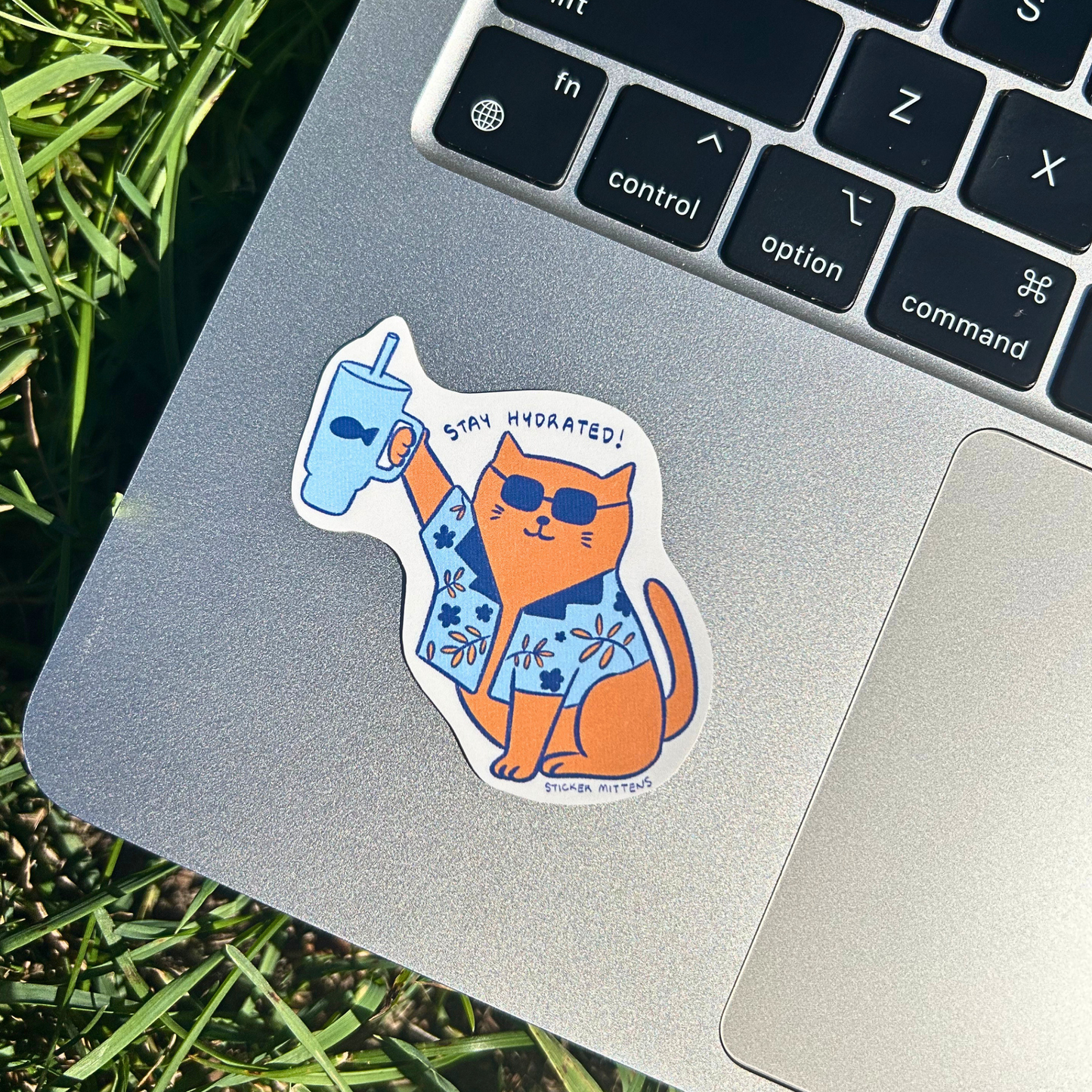 Stay hydrated cat sticker