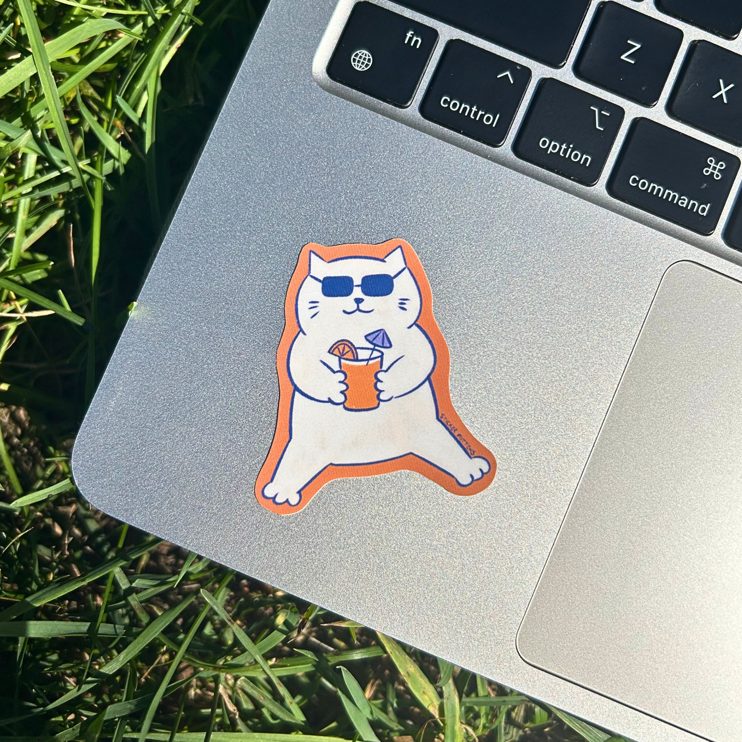 Cat with summer drink sticker